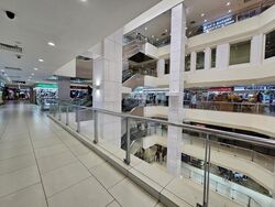 Lucky Plaza (D9), Shop House #459660231